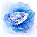 Seashells on watercolor blue background. Sea background. Vector illustration. Royalty Free Stock Photo