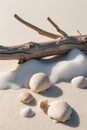 Seashells and White Foam Surrounding Driftwood on Sand. Royalty Free Stock Photo