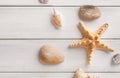 Seashells on white wood, sea vacation background Royalty Free Stock Photo