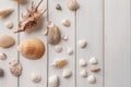 Seashells on white wood, sea vacation background Royalty Free Stock Photo