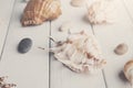 Seashells on white wood, sea vacation background Royalty Free Stock Photo