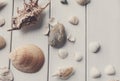 Seashells on white wood, sea vacation background Royalty Free Stock Photo