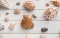 Seashells on white wood, sea vacation background Royalty Free Stock Photo