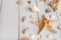 Seashells on white wood, sea vacation background Royalty Free Stock Photo