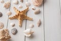 Seashells on white wood, sea vacation background Royalty Free Stock Photo