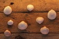 Seashells - Wooden Background