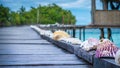 Seashells on Wooden Pier of an Homestay, Gam Island, West Papuan, Raja Ampat, Indonesia