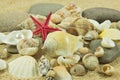 Seashellspearl starfish on sand holiday sea Royalty Free Stock Photo