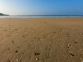 Seashels at beach in sri lanka. Royalty Free Stock Photo