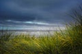 Seashore Beach under Storm Clouds