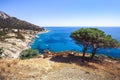 Seashore coastline with beach and rocks and rocky slope of the Island of Elba in Italy. Many people on the beach sunbathing. Blue