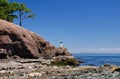 Seashore, Gulf Islands National Park Reserve Royalty Free Stock Photo