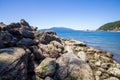 Seashore landscape in summer at Larrabee State Park in Bellingham Washington Royalty Free Stock Photo