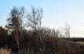 Seashore in Liepaja, Latvia on spring time.