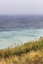 Seashore line with blue water and yellow grass