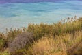 Seashore line with blue water and yellow grass