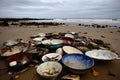 seashore littered with lost treasures, from broken china to rusty fishhooks Royalty Free Stock Photo