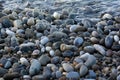 The seashore with lots of pebbles. The sea is on the horizon. A sunny morning day. Background with round stones. The stones on the Royalty Free Stock Photo