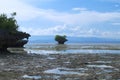 Seashore mountain with forest during low tide. Small cliff with trees in sea water.