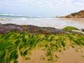 Seashore Rock with Moss and Lifeguard Tower Royalty Free Stock Photo