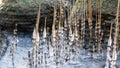 the seashore, rocky seashore, bare ice, blades of grass frozen with pieces of ice, natural formations