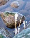 the seashore, rocky seashore, bare ice, blades of grass frozen with pieces of ice, natural formations