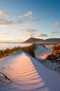 Seashore sand dune