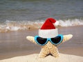 Christmas starfish with hat