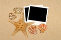 Summer beach starfish blank polaroid photo prints Royalty Free Stock Photo