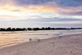 seashore 3 seagulls sunset Fischland Germany