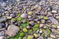 Seashore stones at Grense Jakobselv in northen Norway