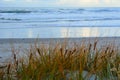 Seashores of New Zealand; beautiful seascape and bright blue ocean