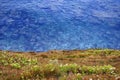 Seaside Background - Clifftop View of the Ocean