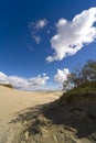 Seaside Baltic - a dune Royalty Free Stock Photo