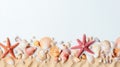 Seaside banner with seashells, corals, starfish on white sand summer travel concept Royalty Free Stock Photo