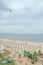 The seaside, Black Sea shore with gold sands, sunbeds, blue sky, clear water, umbrellas and green vegetation.