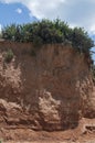 Seaside coastal erosion Royalty Free Stock Photo