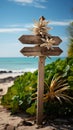 Seaside direction Arrows on wooden sign, beach backdrop, and flourishing plant Royalty Free Stock Photo