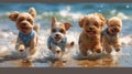 Seaside Frolic Joyous Canines Capturing the Spirit of the Shore a Chibi mini schnauzer, a white bichon fris, a brown French