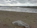 Seaside garbage plastic bag Royalty Free Stock Photo
