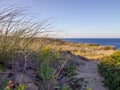 Cape Cod National Seashore Cliffs at Goldenhour