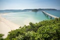 Seaside green forest and bridge