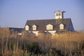 Seaside house, Cape Hatteras, NC Royalty Free Stock Photo