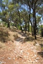 Seaside landscape on the Adriatic sea, croatia Royalty Free Stock Photo