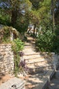 Seaside landscape on the Adriatic sea, croatia Royalty Free Stock Photo