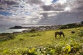 Seaside landscape in Cornwall Royalty Free Stock Photo