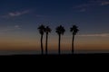 Seaside landscape peace and quiet sunset and four palm trees on the beach