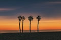 Seaside landscape peace and quiet sunset and four palm trees on the beach