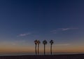 Seaside landscape peace and quiet sunset and four palm trees on the beach