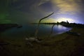 Seaside at night with dead branch